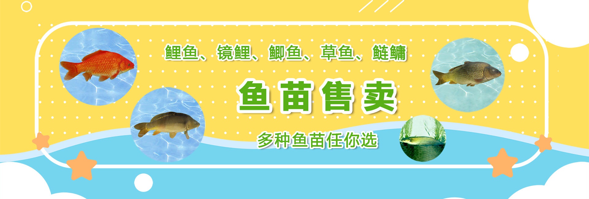 &#30343;&#20896;