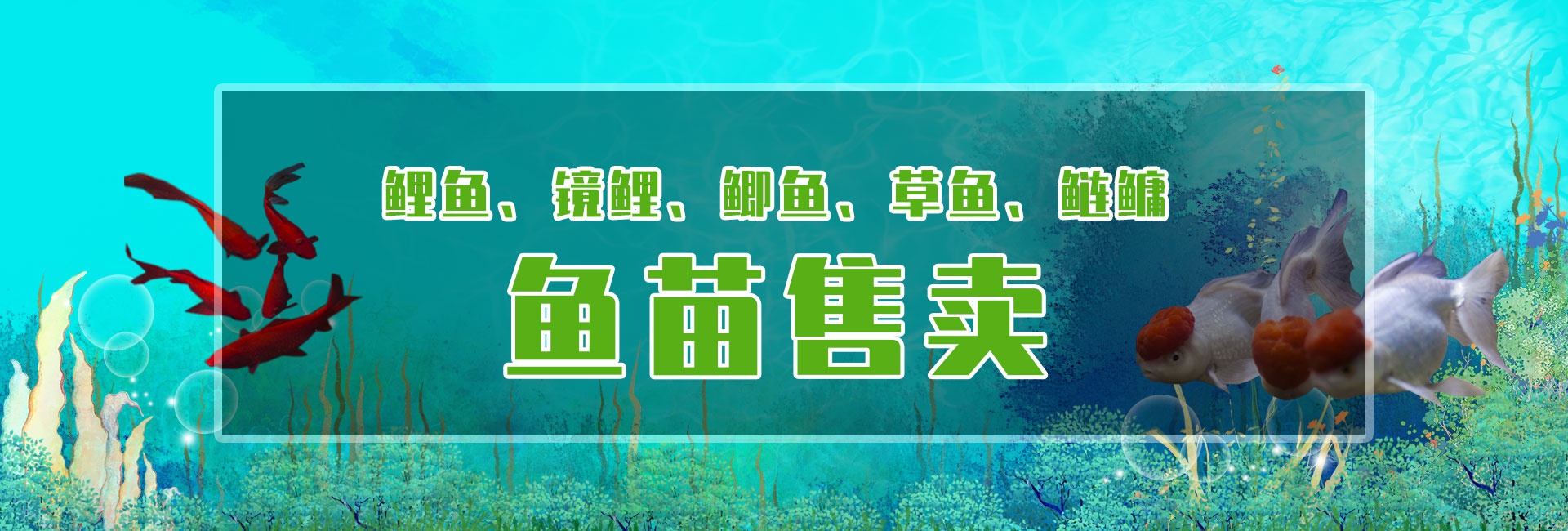 &#30343;&#20896;