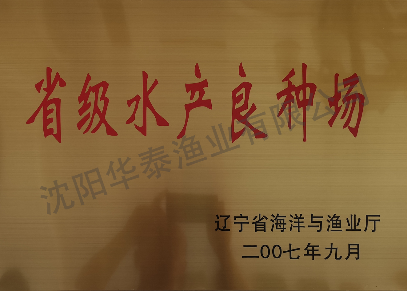 &#30343;&#20896;
