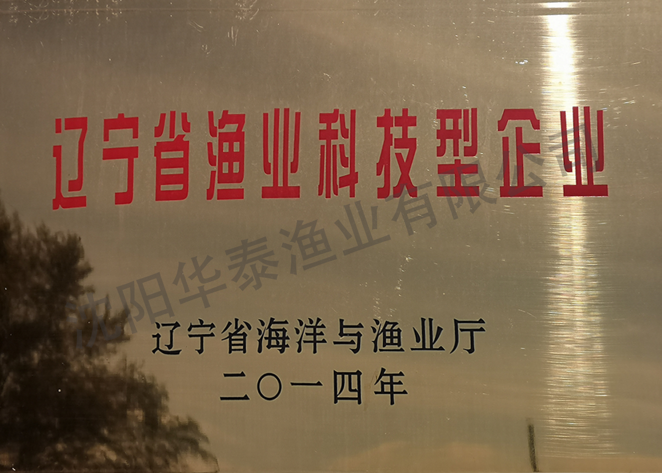 &#30343;&#20896;